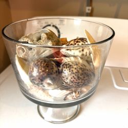 Large glass table decor with large, beautiful shells