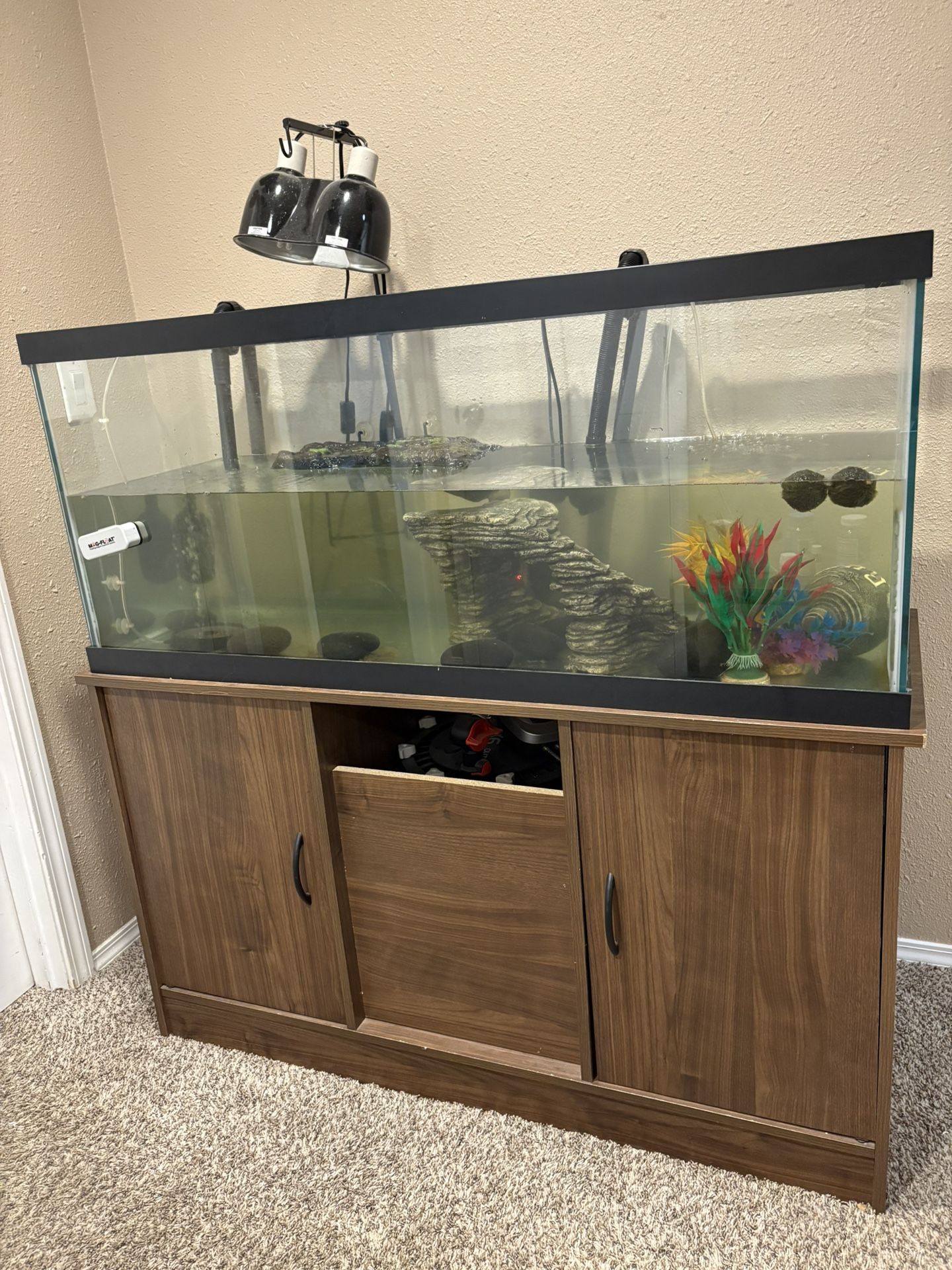 Aquarian Terrarium, Canister Filter, Heat Lamp, Decor And Care Products