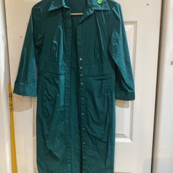 Green Express Dress