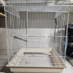 Bird Cage 