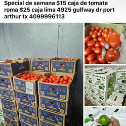 Wholesale Vegetable 