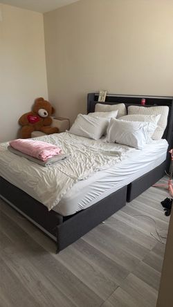 Queen led  bed