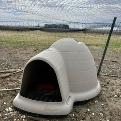 Large Dog Igloo 