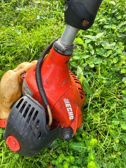 Echo edger
