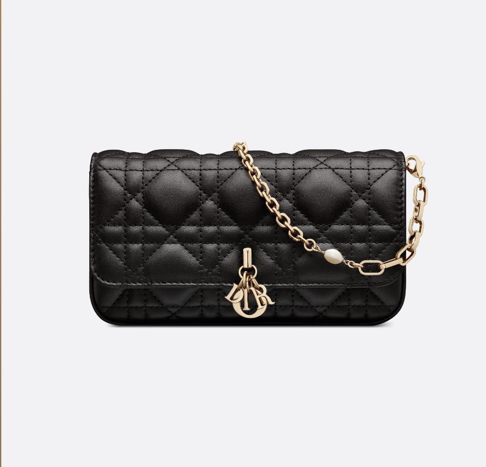 NEW AUTHENTIC DIOR MINI BAG WITH RECEIPT AND ALL PACKAGING