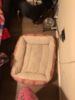 Pet bed