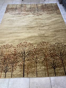 8x10 Area Rug