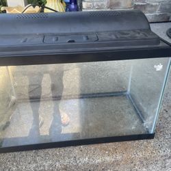 20 gallon terrarium