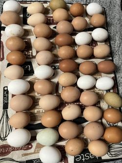Farm Fresh Eggs