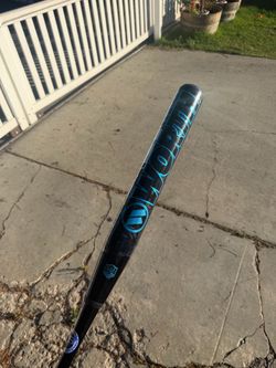 WORTH SOFTBALL BAT