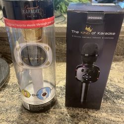 Portable Karaoke, Car Karaoke