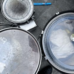 ludwig accent  is not $1 