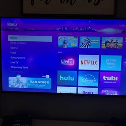 Vizio 65” 4k TV