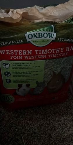 Timothy hay