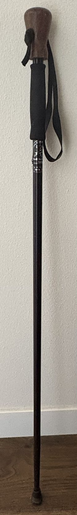 Hiking Walking Stick Cane