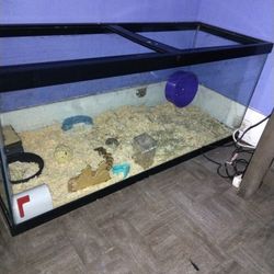 Big Glass Tank (Read Description!!)