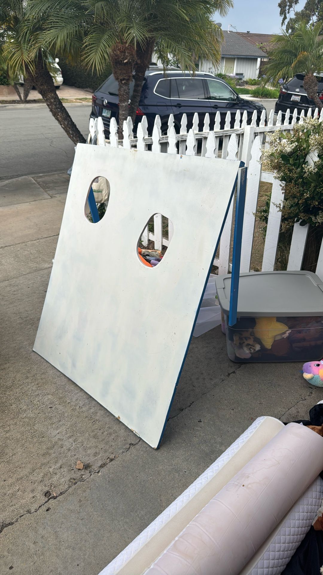 Face Cutout Board / Carnival Game