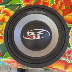 Rockford Fosgate 10” Speaker