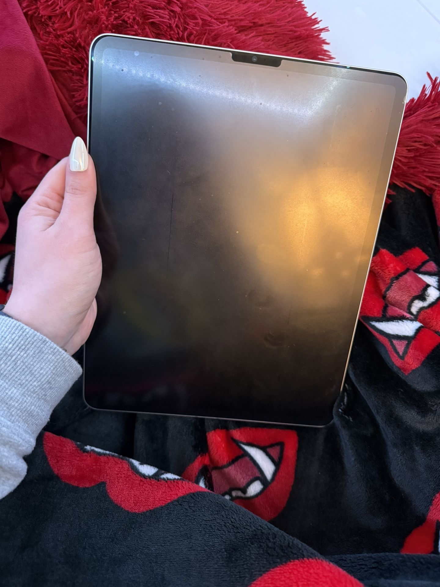 ipad pro 12.9 inch