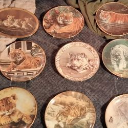 Tiger Decorative Plates