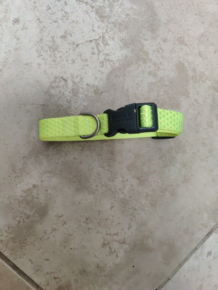 Boots & Barkley Small Dog Collar