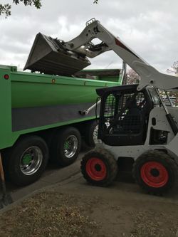 Bobcat demo
