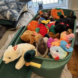 Beanie Babies