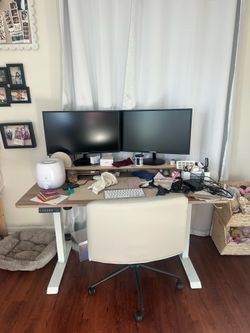 55-Inch Electric Standing Desk