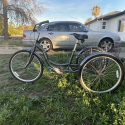 Schwinn 3 Wheel Bicycle
