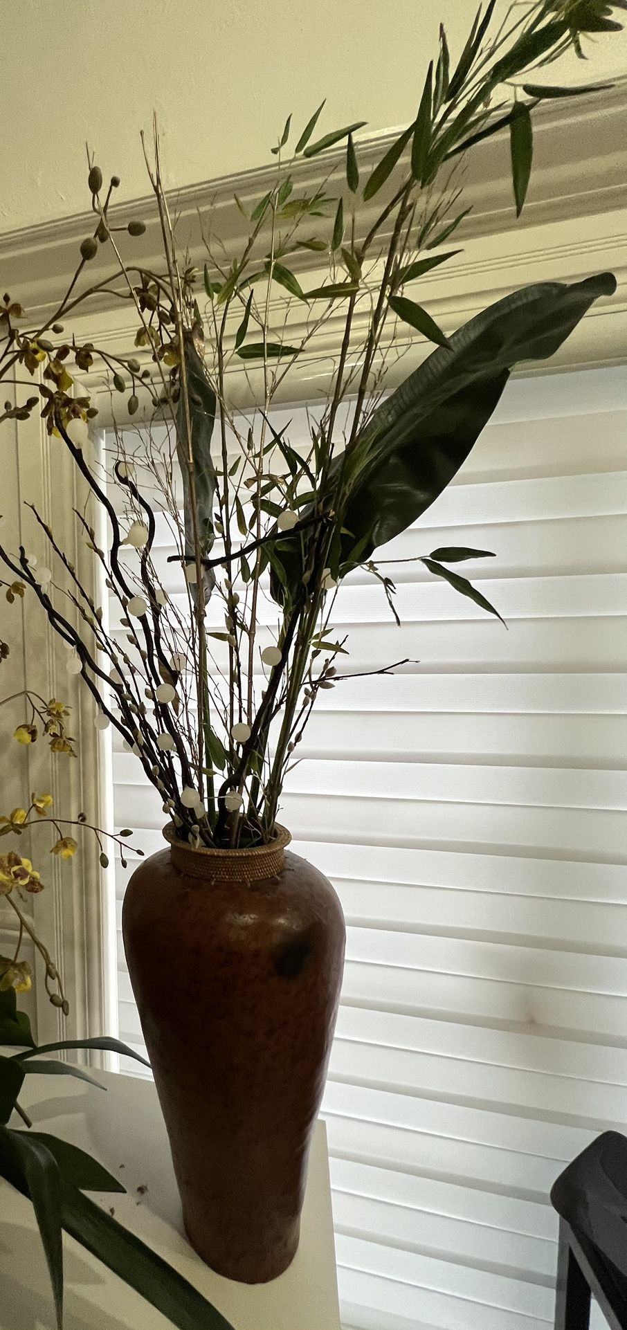 Plant Arrangements