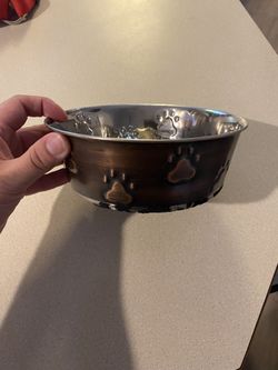 Dog Bowl