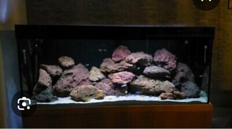 Igneous Black Lava Rock