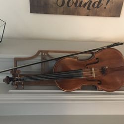 Viola