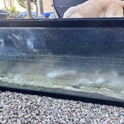 55 gallon Fish / reptile / tank / Terrarium 