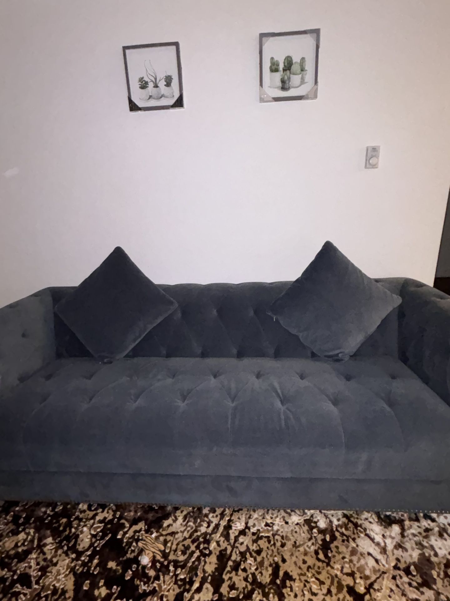 Luxurious Soft Coil Cushion sofa (RETAIL 2,500)