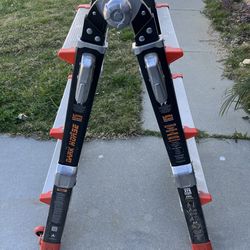 Little Giant dark horse ladder