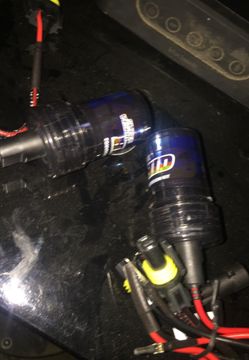Hid bulbs
