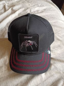 Deadly Goorin bros hat