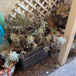 Pots 