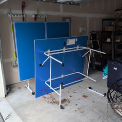 Ping Pong Table