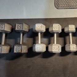 Dumb Bells 50 -35 -25 $200 Or BO