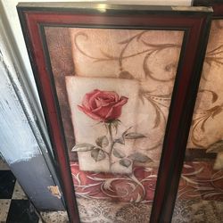 Rose Pictures With Frame