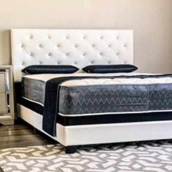 New Queen Bed Wht Matres For $499