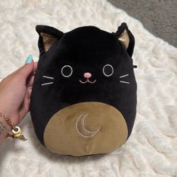 Black cat with moon Squishmallow