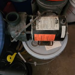Pool Pump