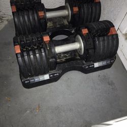 NordicTrack Dumbbells 