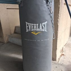 Everlast Punching Bag