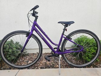 Specialized crossroads hybrid
