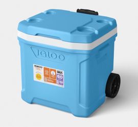 Igloo cooler 60qt