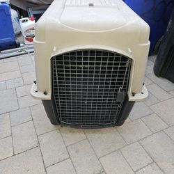 Dog Kennel